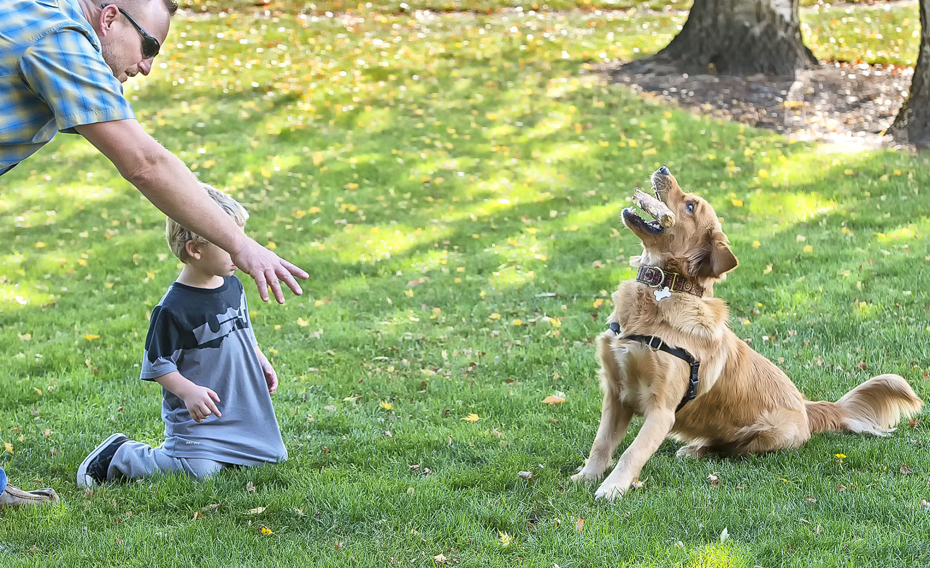 Go fetch!